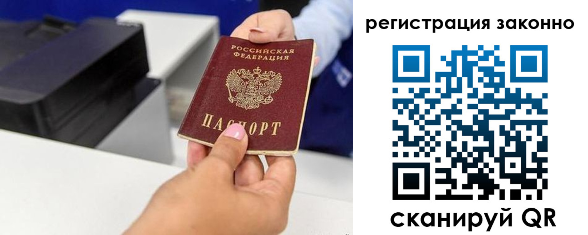 прописка для школы в Ярославской области